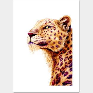 Ancient Snow Leopard Posters and Art